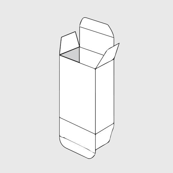 Standard Reverse Tuck Folding Carton